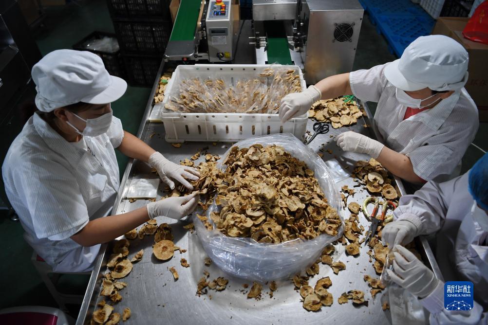 博狗游戏网站网址